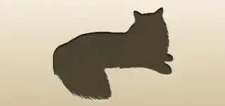 Cat silhouette