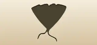 Butterfly silhouette
