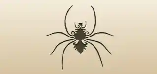 Spider silhouette