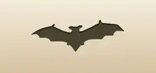 Bat silhouette