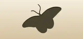 Butterfly silhouette