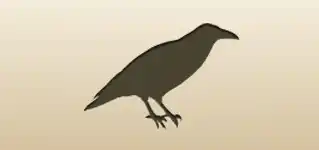 Crow silhouette
