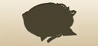Mirror silhouette