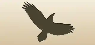 Crow silhouette