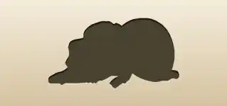 Sack of salt silhouette