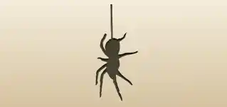 Spider silhouette
