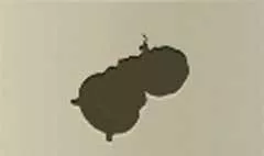 Music Box silhouette