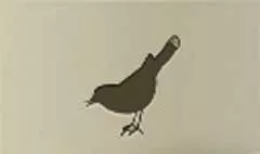 Nightingale silhouette