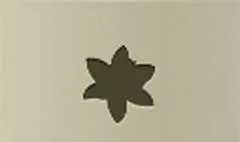 Daffodil silhouette