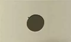 Apple silhouette