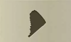 Pan Flute silhouette