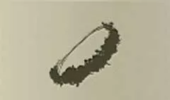 Wreath silhouette