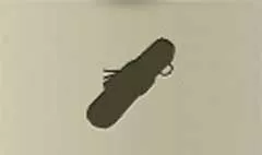 Scroll silhouette