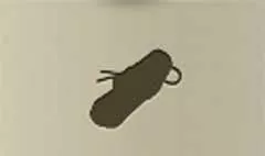 Scroll silhouette