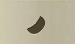 Lemon silhouette