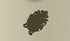 Mirror silhouette