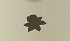 Daffodil silhouette