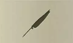 Feather silhouette