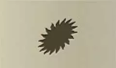 Sun silhouette