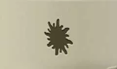 Sun silhouette