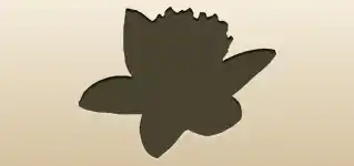 Daffodil silhouette