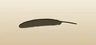 Feather silhouette