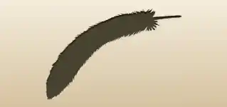 Feather silhouette