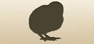 Chick silhouette