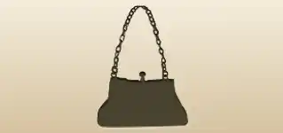 Handbag silhouette
