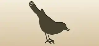 Nightingale silhouette
