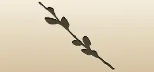 Willow Twig silhouette