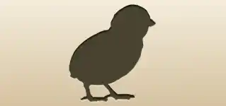 Chick silhouette