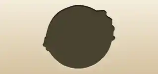 Mirror silhouette