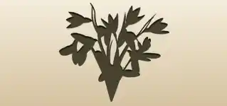 Snowdrops silhouette