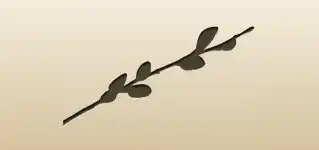 Willow Twig silhouette