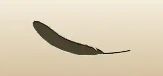 Feather silhouette