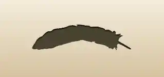 Feather silhouette