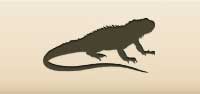 Iguana silhouette