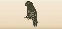 Parrot