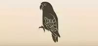 Parrot