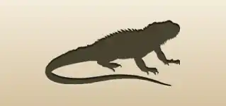 Iguana