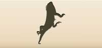 Iguana silhouette