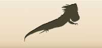 Iguana silhouette
