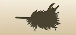 Feather Duster