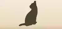 ネコ