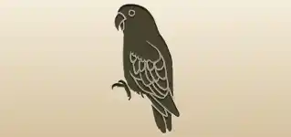 オウム