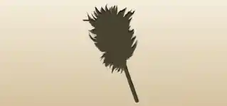 Feather Duster