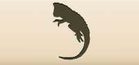 Iguana silhouette