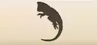 イグアナ