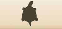 Turtle silhouette